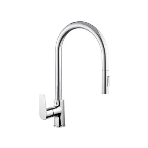 Niza Pull Out Kitchen Faucet